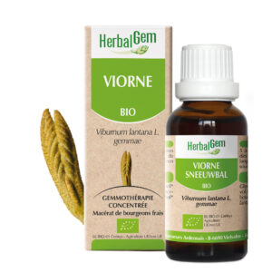 Viorne - Viburnum lantana - 30ml - Bio