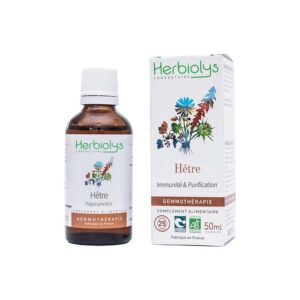 Hêtre - Fagus sylvatica - 50ml - Bio