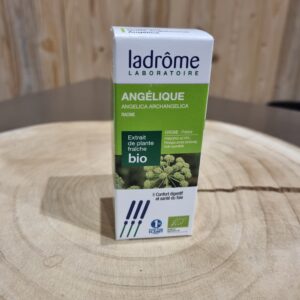Angélique - Angelica archangelica - 50ml - Bio