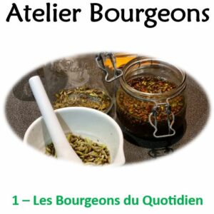 Acompte pour - Atelier "Les Bourgeons du Quotidien"