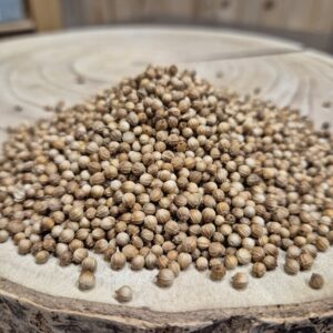 Graines bio de coriandre – Coriandrum sativum