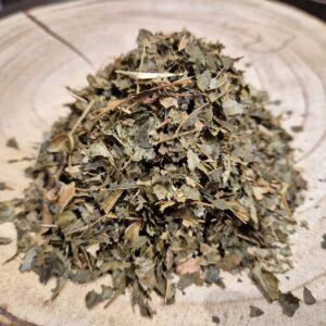 Feuilles d’hamamélis bio coupées – Hamamelis virginiana