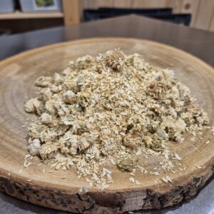 Fleurs de camomille noble – Chamaemelum nobile