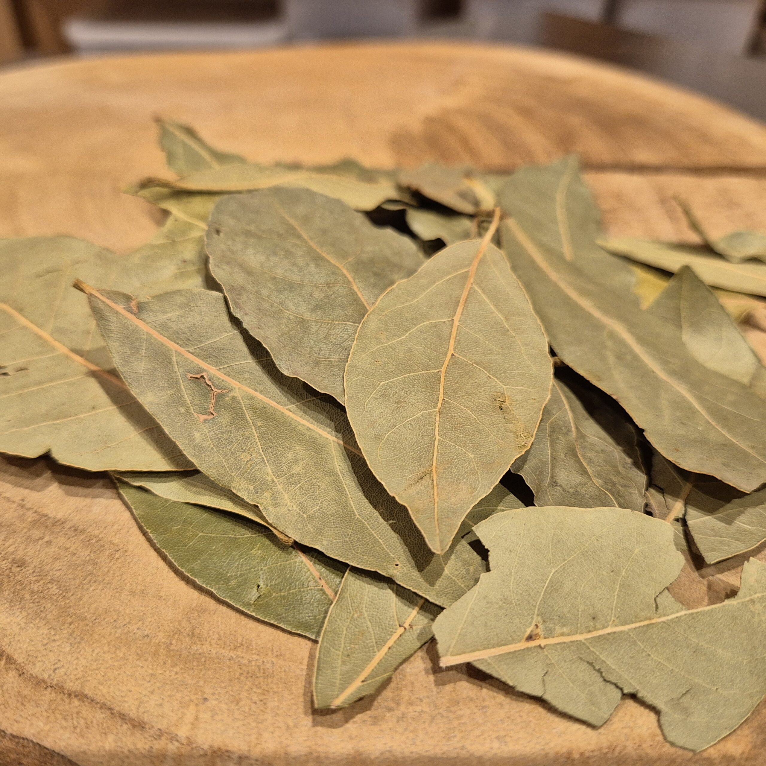 Feuilles entières de laurier noble bio – Laurus nobilis