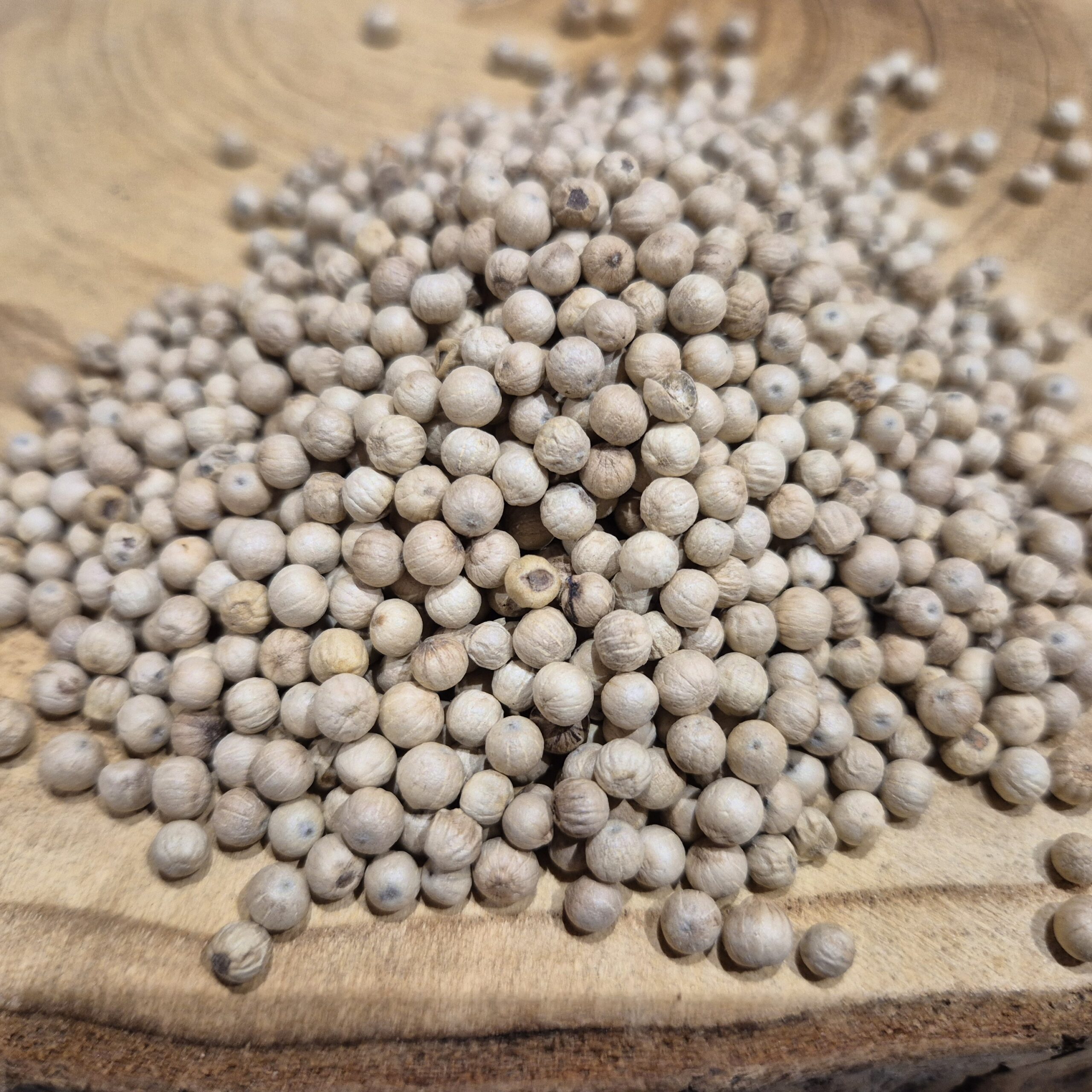 Poivre blanc entier – Piper nigrum
