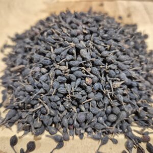 Poivre sauvage noir entier – Piper borbonense